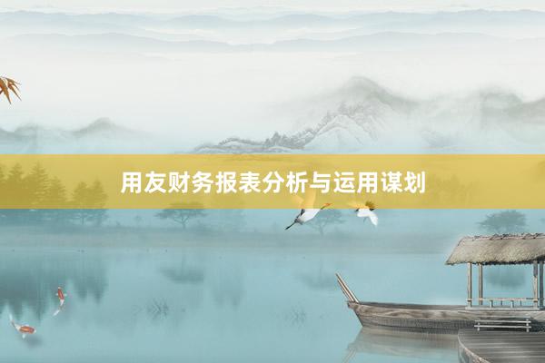 用友财务报表分析与运用谋划
