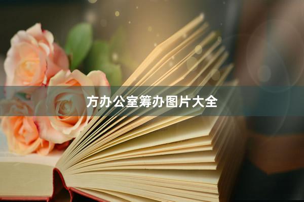 方办公室筹办图片大全